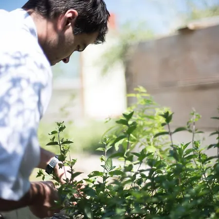 Restaurant Goerg Neudorfl