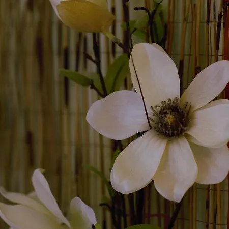 イン Restaurant Goerg